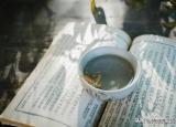 今日更新嬋娟是什么意思（嬋娟）