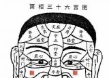 今日更新顴骨面相（面相顴骨看家族關(guān)系及婚姻子女）
