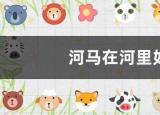 今日更新河馬在水里怎么走（河馬在河里如何行走）