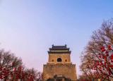今日更新圭臬是什么意思（圭臬）