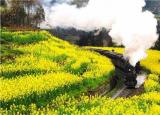 今日更新成都到羅江（花開天府 安逸四川）