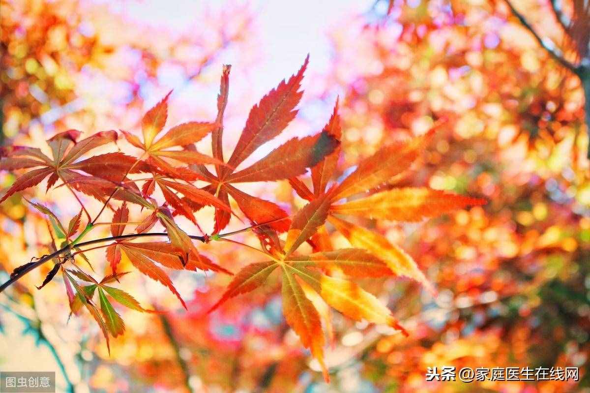 深秋時(shí)節(jié)，牢記4個(gè)養(yǎng)生秘訣，健康度過(guò)整個(gè)秋季