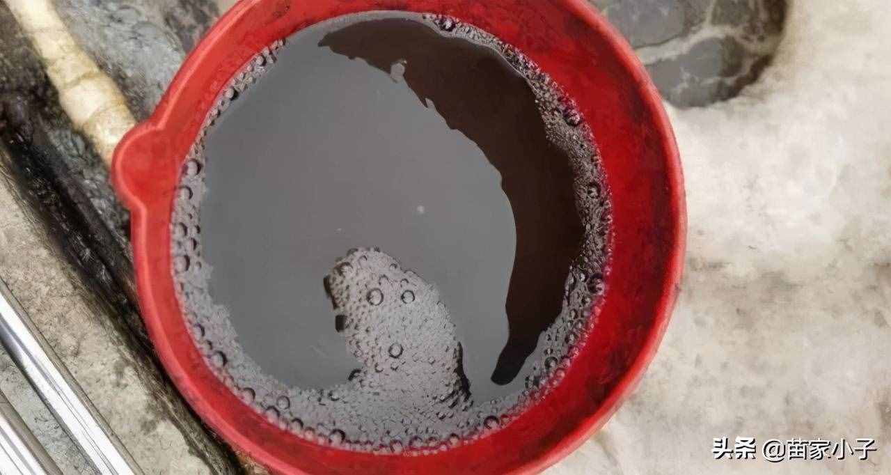 生活污水處理小實驗步驟與方法