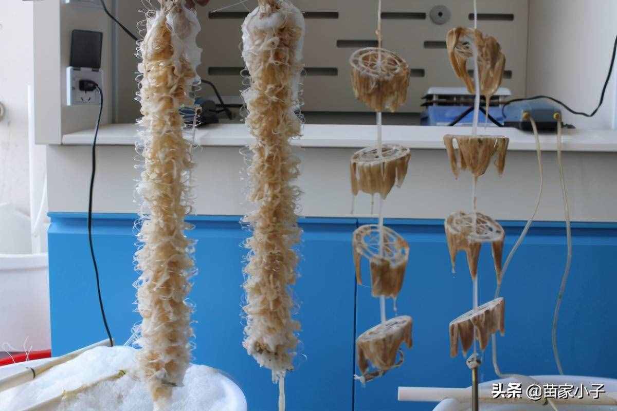 生活污水處理小實驗步驟與方法