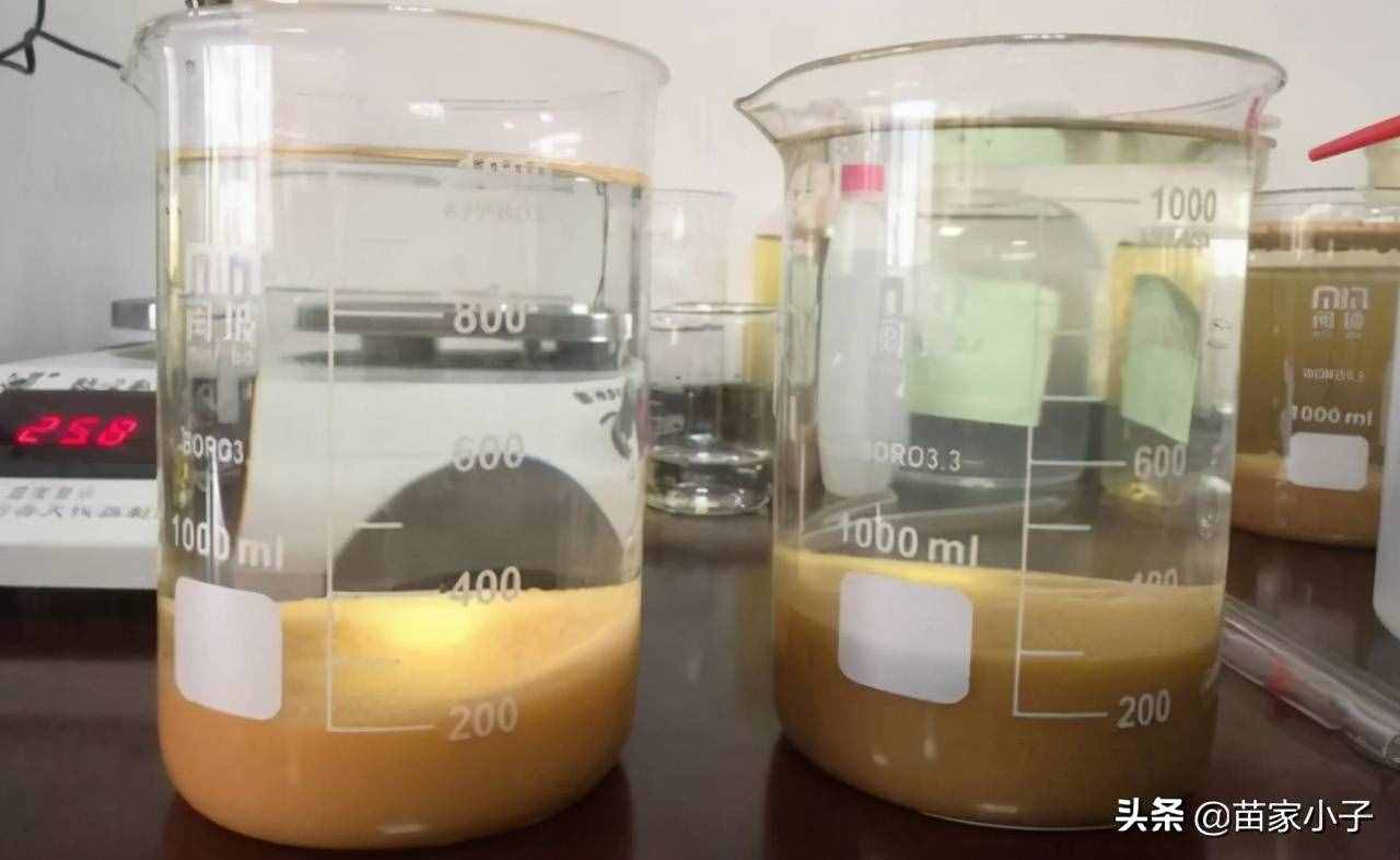 生活污水處理小實驗步驟與方法