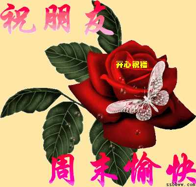 周末早安問(wèn)候語(yǔ)祝福短信，正能量周末愉快的句子