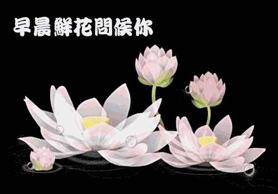 周末早安問(wèn)候語(yǔ)祝福短信，正能量周末愉快的句子