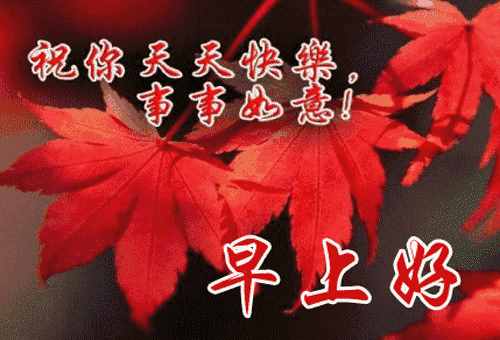 周末早安問(wèn)候語(yǔ)祝福短信，正能量周末愉快的句子