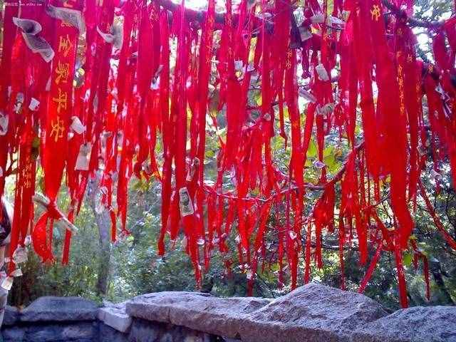 端午 泰山 兩日游 登五岳泰山看日出云海