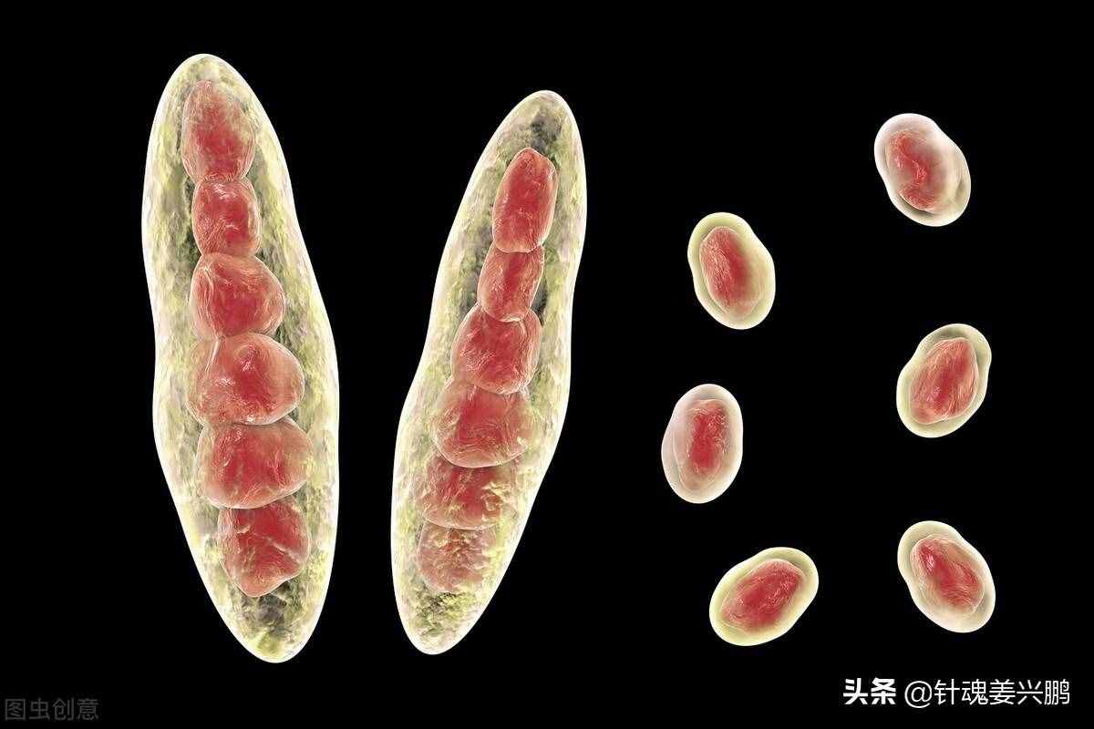 “腳氣”真菌怎么才能根治？3個(gè)人人實(shí)用的方法，徹底治好不復(fù)發(fā)