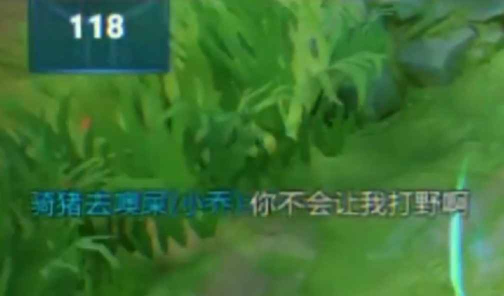 王者榮耀居然有GM巡查 玩家問GM是啥 看看網(wǎng)友是怎么回答的