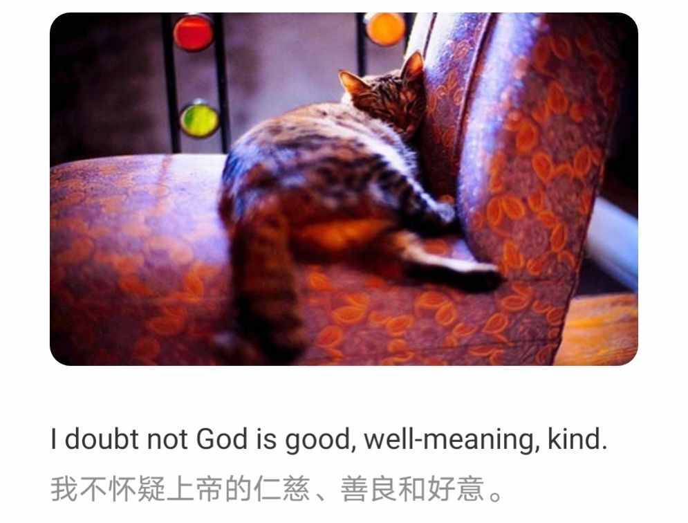 每日英語單詞