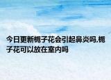 今日更新梔子花會(huì)引起鼻炎嗎,梔子花可以放在室內(nèi)嗎
