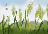 今日更新小滿祛濕攻略（今日小滿祛濕的3個(gè)小妙招送給你）