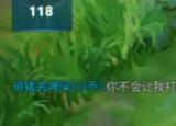 今日更新gm是什么意思（居然有GM巡查）