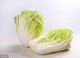 今日更新大白菜的英文（大白菜用英語(yǔ)怎么說(shuō)）