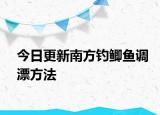 今日更新南方釣鯽魚(yú)調(diào)漂方法