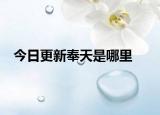 今日更新奉天是哪里