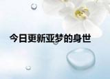 今日更新亞夢(mèng)的身世