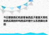 今日更新我們吃的零食西瓜子是夏天常吃的西瓜里的籽嗎西瓜籽是什么東西做出來的