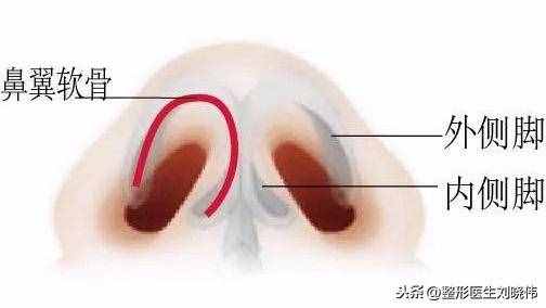 有什么好辦法能讓大鼻頭變??？