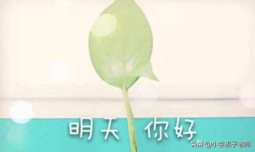 小學(xué)生一篇“荷包蛋”課外閱讀題，帶來(lái)的感恩教學(xué)