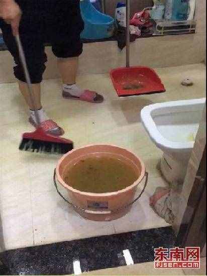 管道堵塞污水倒灌 廈門一住房兩月三變“化糞池”