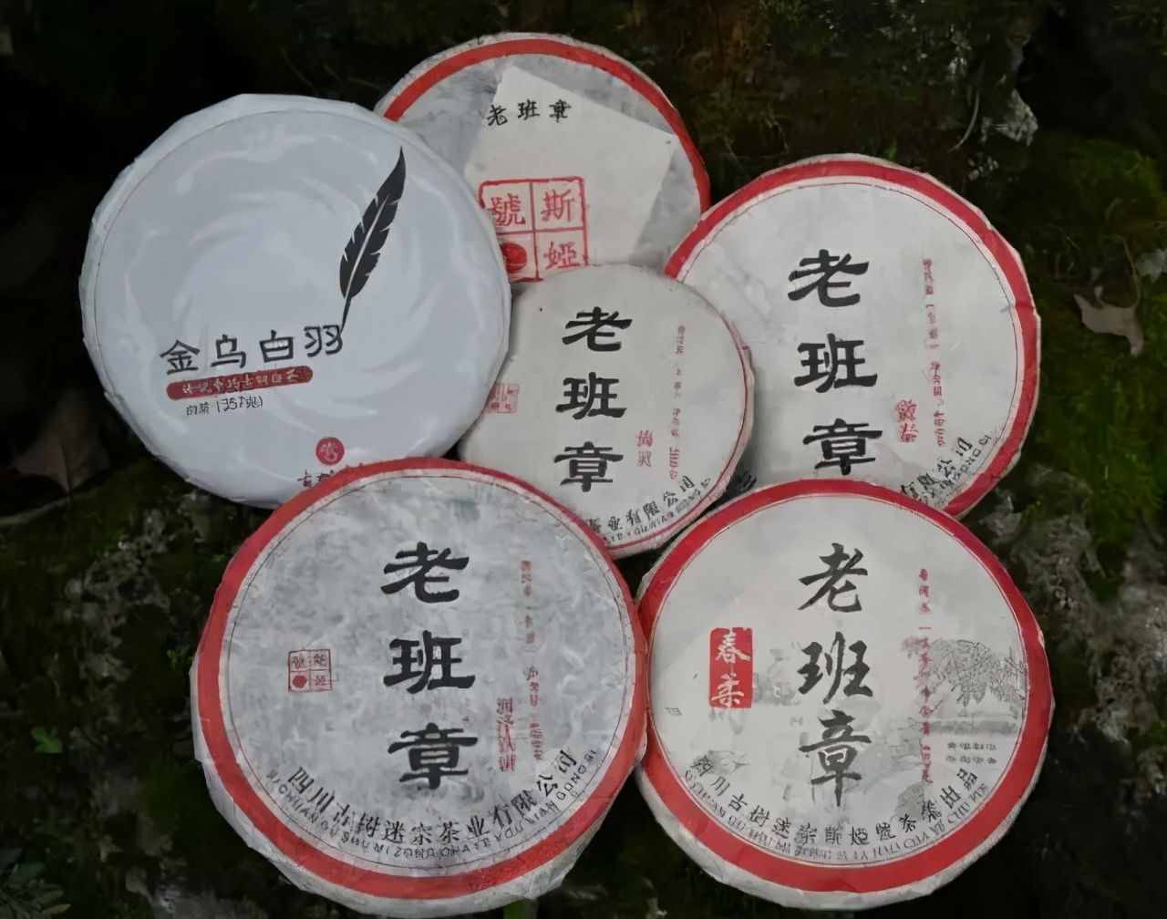 國(guó)粹與茶道