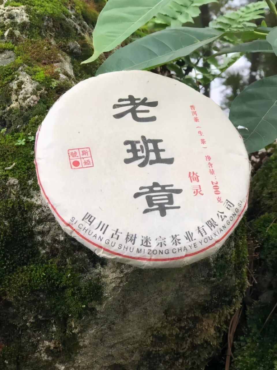 國(guó)粹與茶道