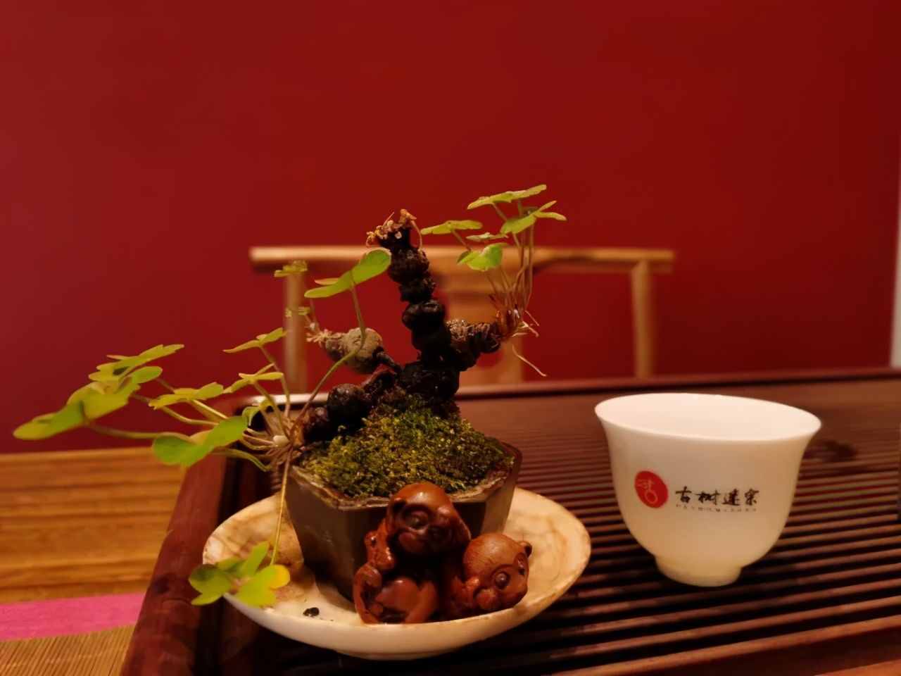 國(guó)粹與茶道