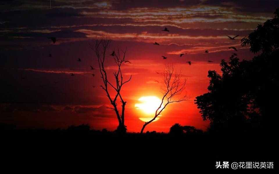 “真low”是中式英語？外國(guó)妹子也被帶跑偏了，正確用法是這樣