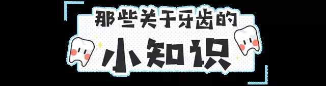 作為人體最堅硬的部位，卻最容易壞：五分鐘了解你的牙齒
