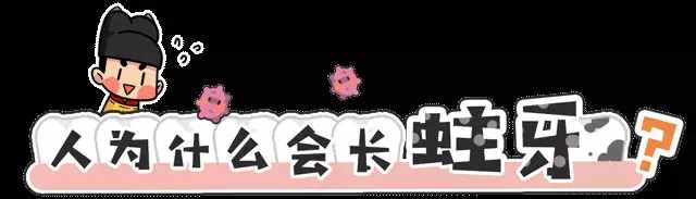 作為人體最堅硬的部位，卻最容易壞：五分鐘了解你的牙齒