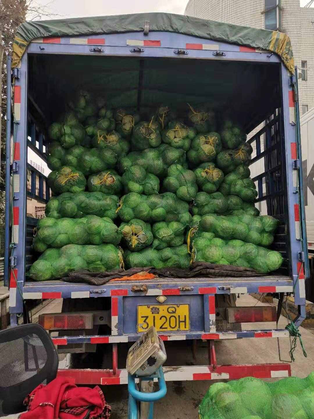 這個上海最大的蔬菜批發(fā)市場今天供應6000噸蔬菜，大白菜價格已回落至8元至0元/500克