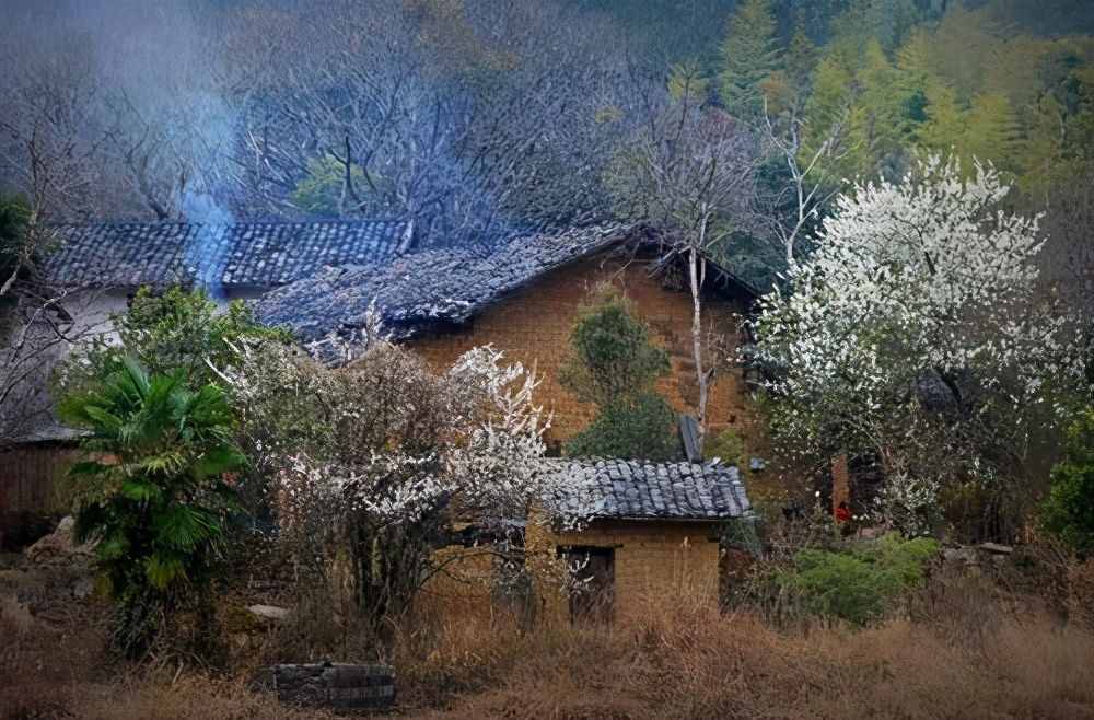 鄉(xiāng)情散文：故鄉(xiāng)的炊煙