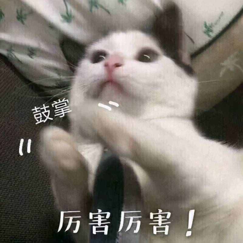 初見小分隊(duì)在線集結(jié)，每一位都是古裝絕絕子