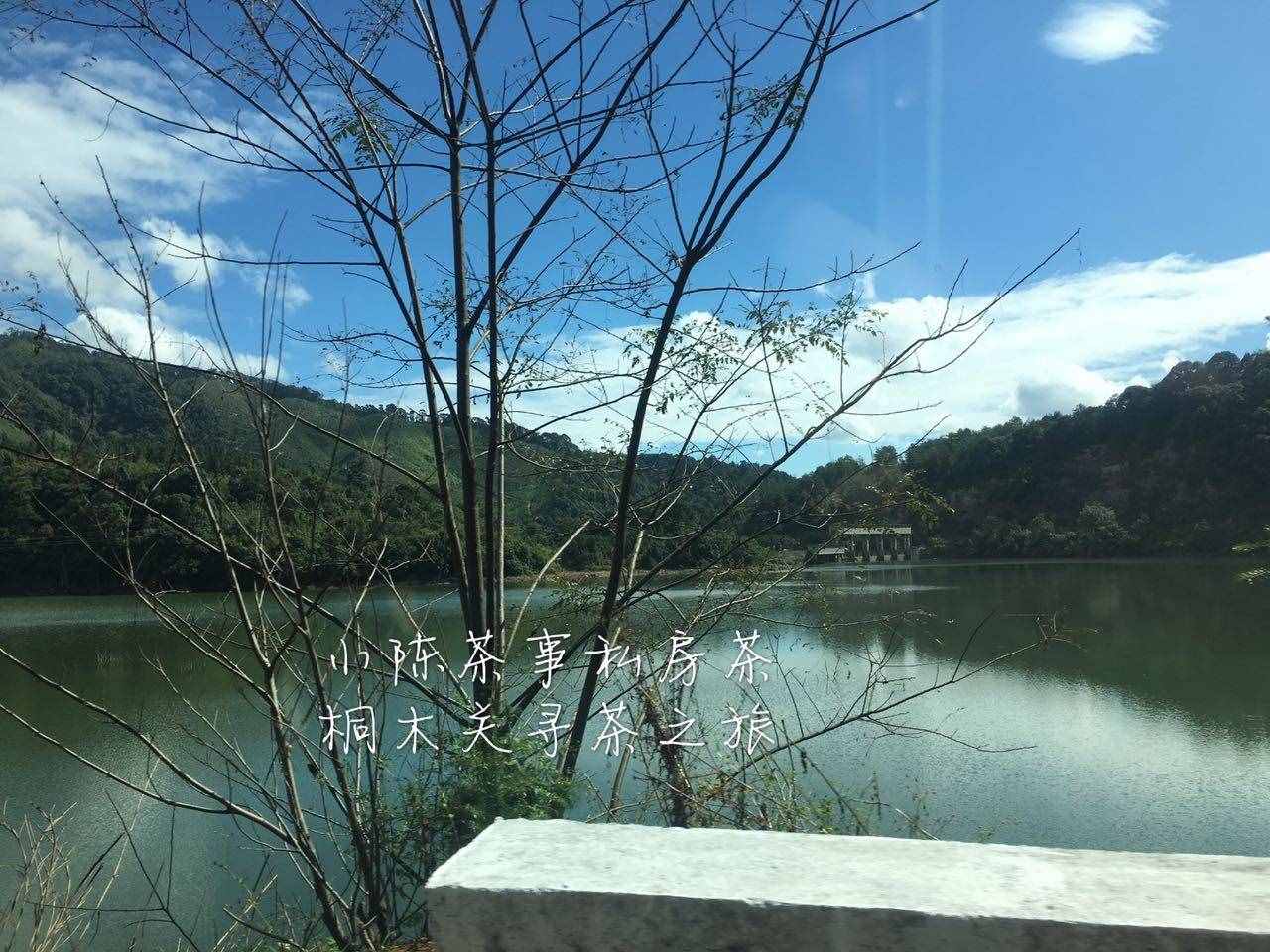 有人說，金駿眉采一芽一葉？看完這三點(diǎn)紅茶知識(shí)，別被掌柜繞暈了