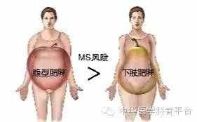 今天，我們來(lái)聊一聊三圍