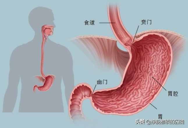噯氣是怎么回事？是病嗎？