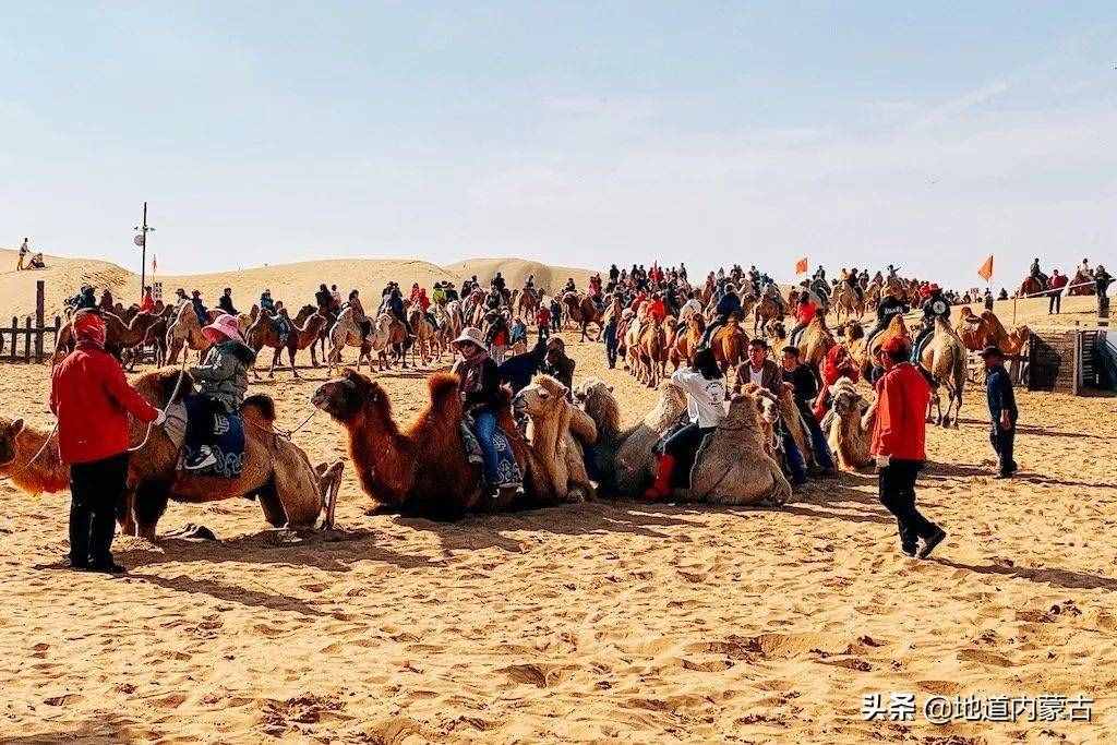 內(nèi)蒙古沙漠旅行之庫布其沙漠：響沙灣景區(qū)，最適合度假的沙漠景區(qū)