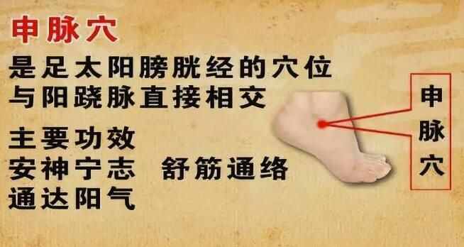 人體生命線“奇經(jīng)八脈”，每天按摩，氣血更足