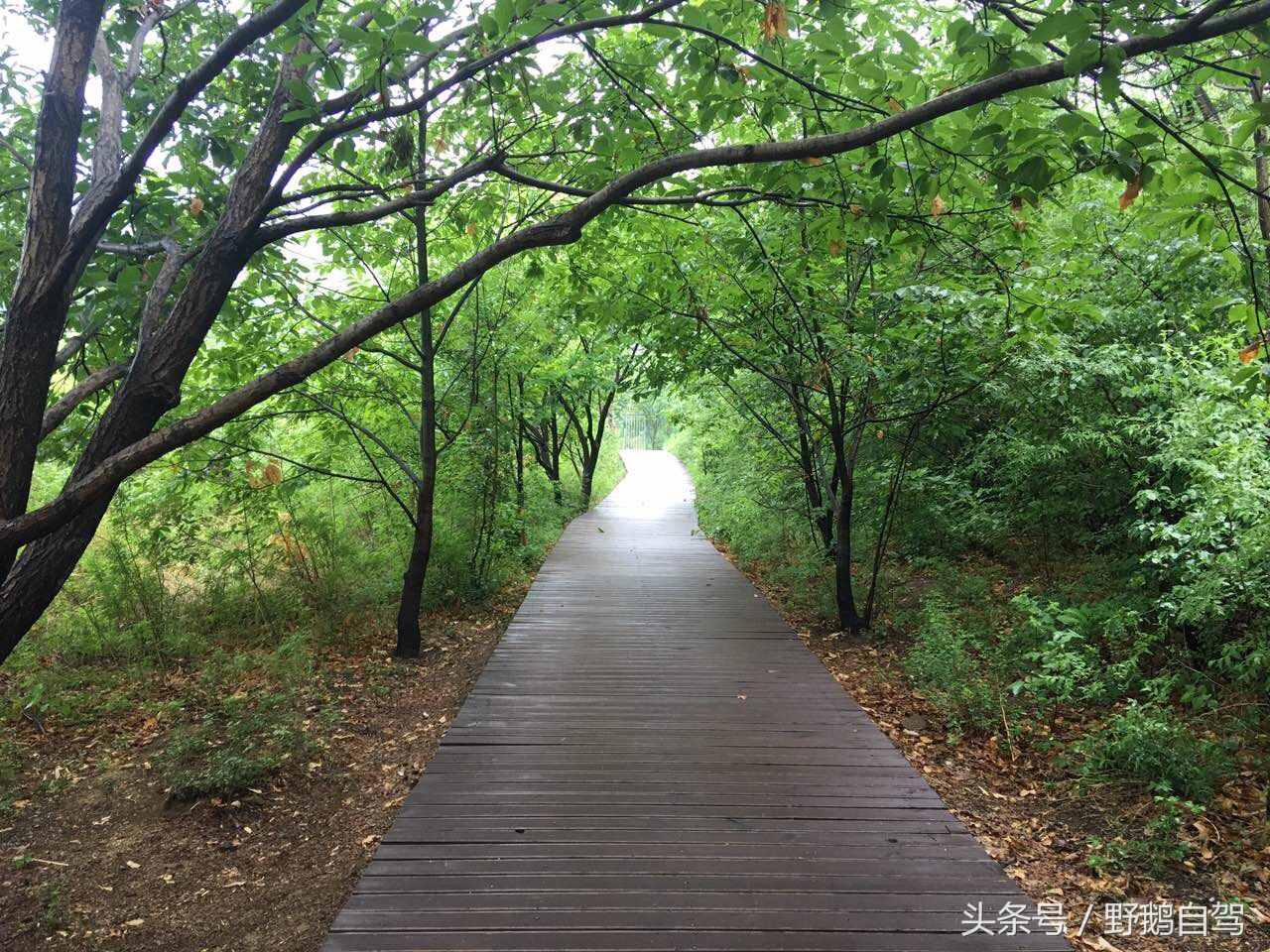 自駕懷柔，沿路的風(fēng)景，只有在路上的人會懂！