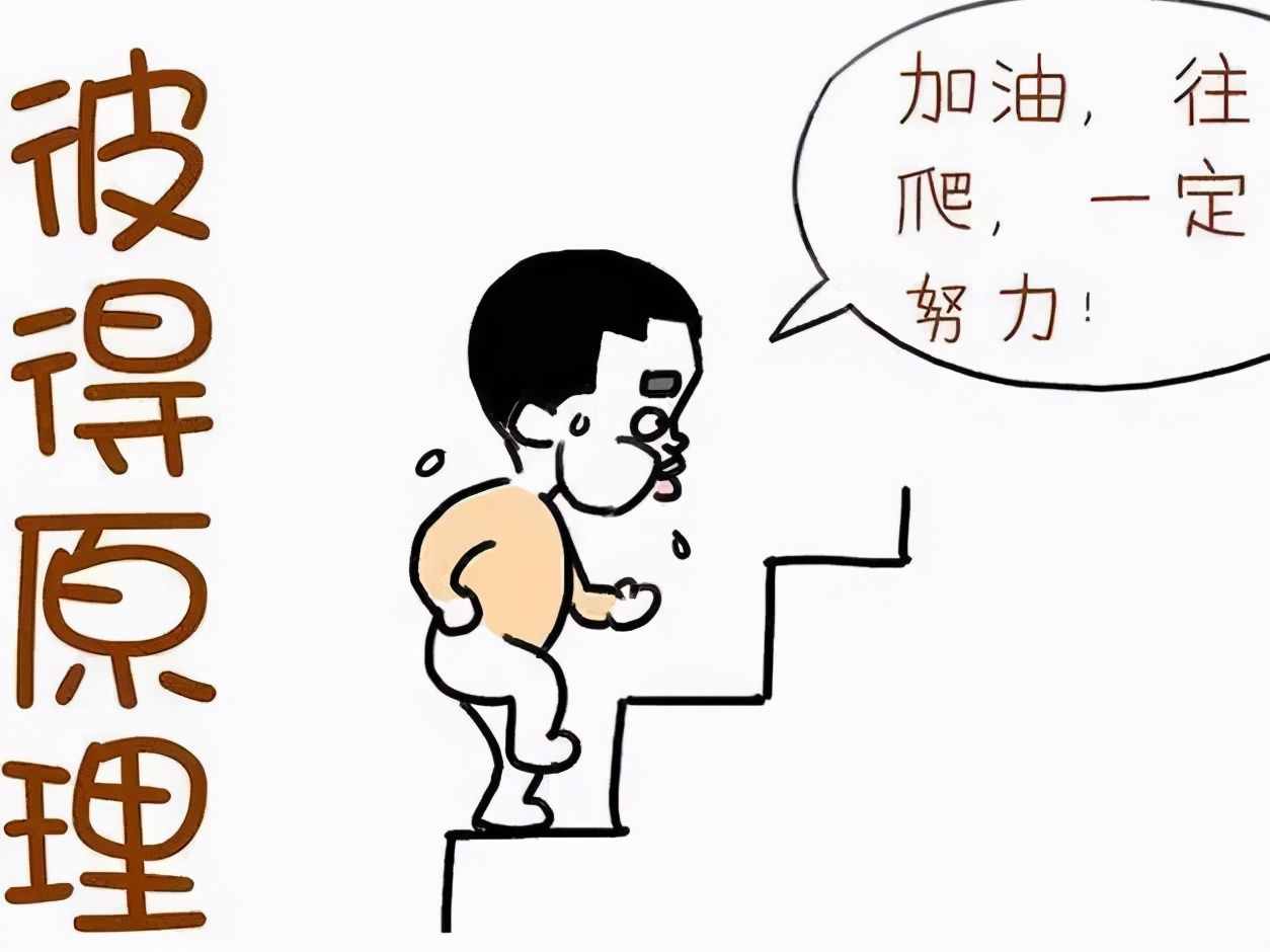 著名的管理心理學效應——彼得原理