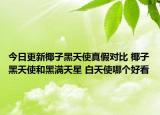 今日更新椰子黑天使真假對(duì)比 椰子黑天使和黑滿天星 白天使哪個(gè)好看