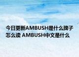 今日更新AMBUSH是什么牌子怎么讀 AMBUSH中文是什么