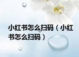 小紅書怎么掃碼（小紅書怎么掃碼）