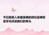 今日更新人體最堅硬的部位是哪里是牙齒還是我們的骨頭