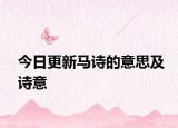 今日更新馬詩(shī)的意思及詩(shī)意