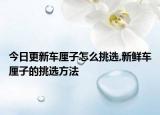 今日更新車厘子怎么挑選,新鮮車厘子的挑選方法