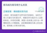 今日更新斑馬線與斑馬有什么關(guān)系（斑馬線與斑馬有什么關(guān)系）